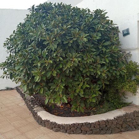 Aguas Verdes Betancuria Luaran gambar
